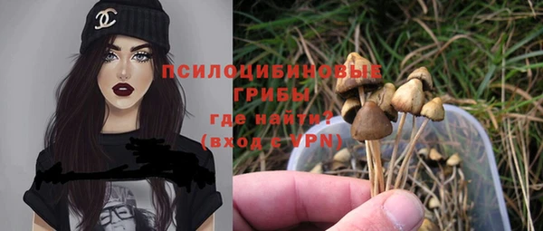 синтетический гашиш Алексин