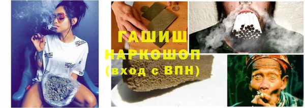 сатива Алзамай